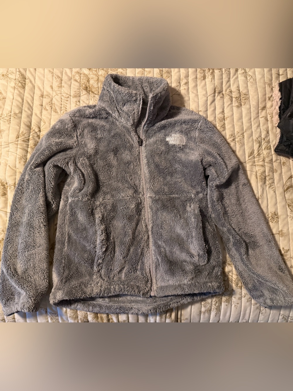The North Face Kids' Plush Gray Full-Zip Jacket